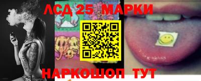 apvp Славгород
