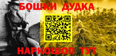 apvp Славгород