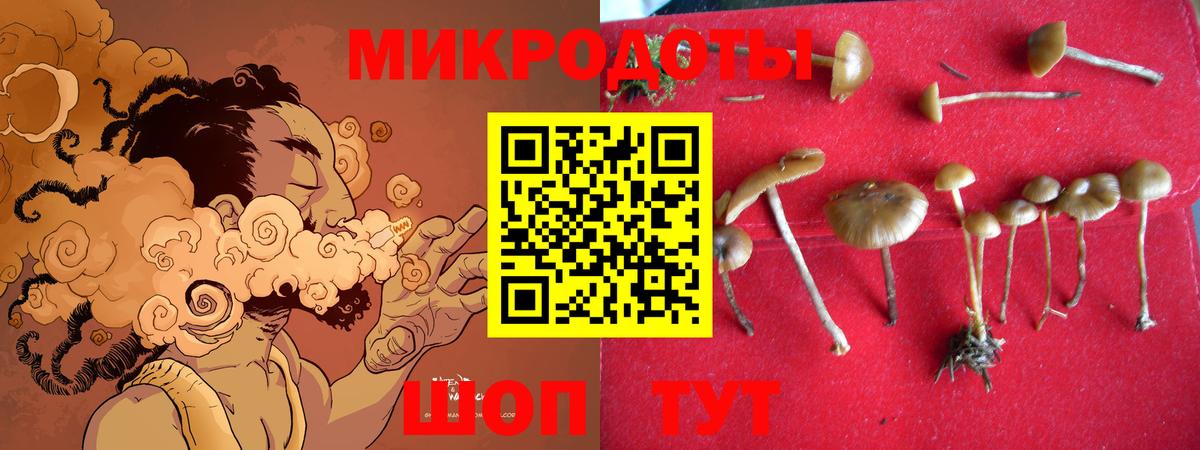 Галлюциногенные грибы прущие грибы Гай